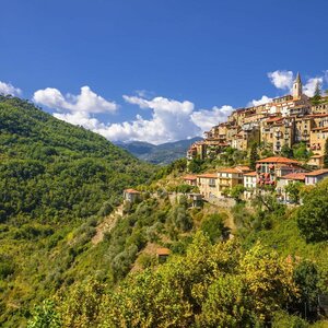 Lodgeholidays B.V. image 1