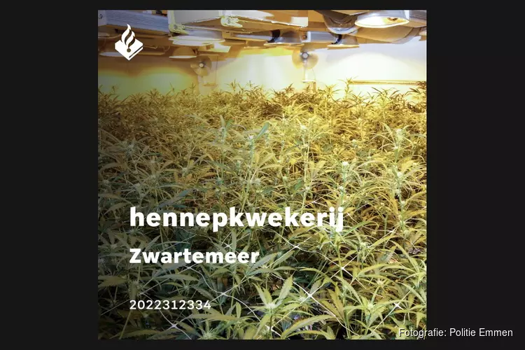 Ontdekking en ontmanteling hennepkwekerij Zwartemeer