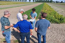 Waarom je op excursie naar de regionale Boerderij van de Toekomst De Marke wilt