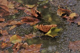 Temperatuur doet flinke stap terug