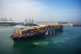 Food for Thought: Het Scheepvaartmuseum opent tentoonstelling over de verborgen wereld achter ons voedsel