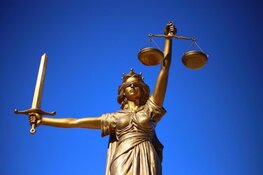 Uitspraken onderzoek 'Mergel' inzake hennepkwekerijen Nederland en Duitsland, harddrugs, witwassen en verboden wapenbezit