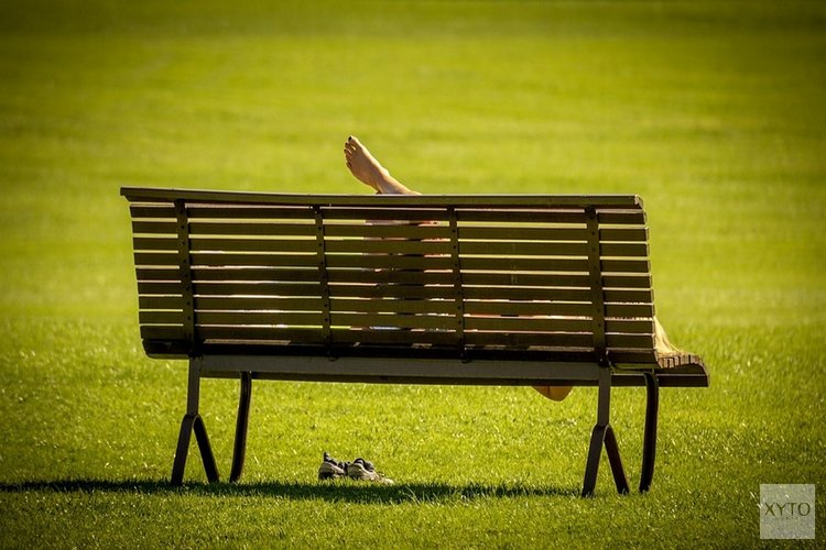Hitte wordt dit weekend verdreven, daarna aangenaam zomerweer