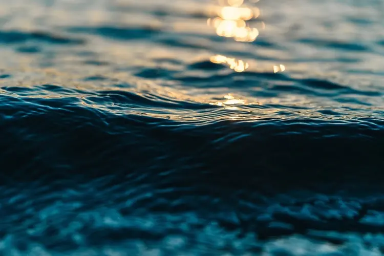 Waarschuwing blauwalg in Speelvijver Emmercompascuum