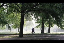 Minder dan helft van de Drentenaren voldoet aan beweegrichtlijn, ondanks vooruitgang in meeste gemeenten