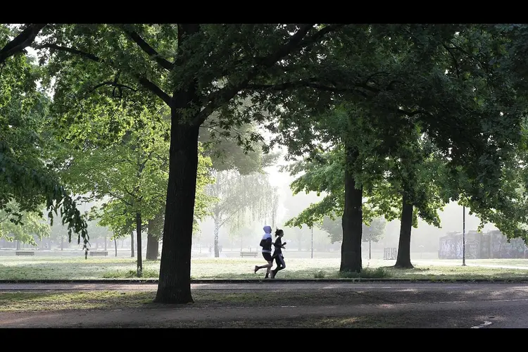 Minder dan helft van de Drentenaren voldoet aan beweegrichtlijn, ondanks vooruitgang in meeste gemeenten
