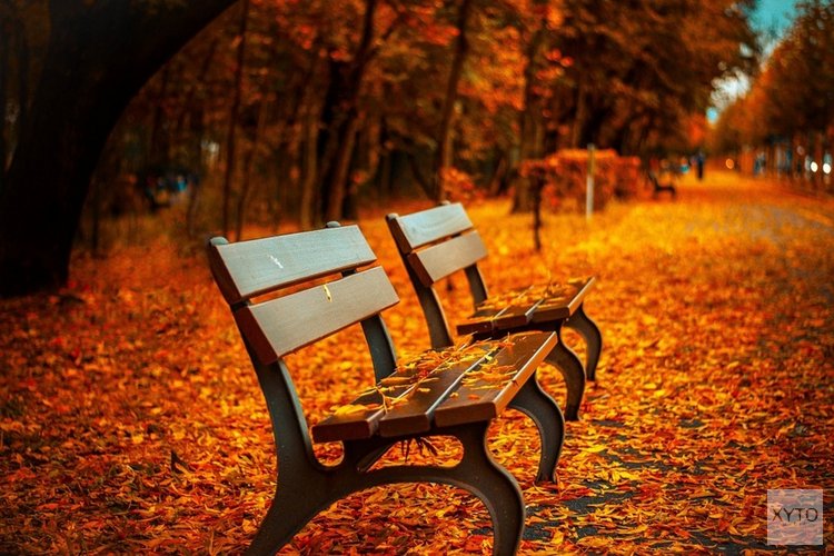 De ‘R’ is weer in de maand: zonnig weekend, daarna opnieuw wisselvallig